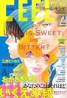 フィールヤング 2月号 (発売日2013年01月08日) 表紙