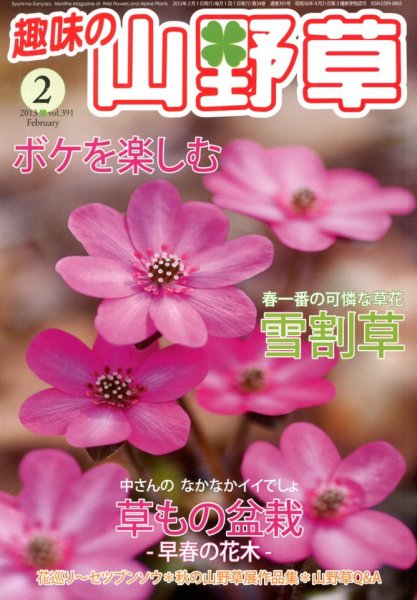 趣味の山野草 2月号 (発売日2013年01月12日) 表紙