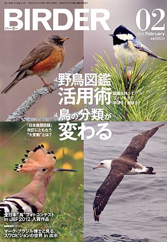 激安価格の BIRDER 2001年1月から12月まで10冊セット（2月号、11月号を