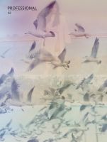 PROFESSIONAL　TOKYO（プロフェッショナル　東京） 表紙