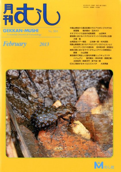 月刊むし 504 (発売日2013年01月22日) 表紙