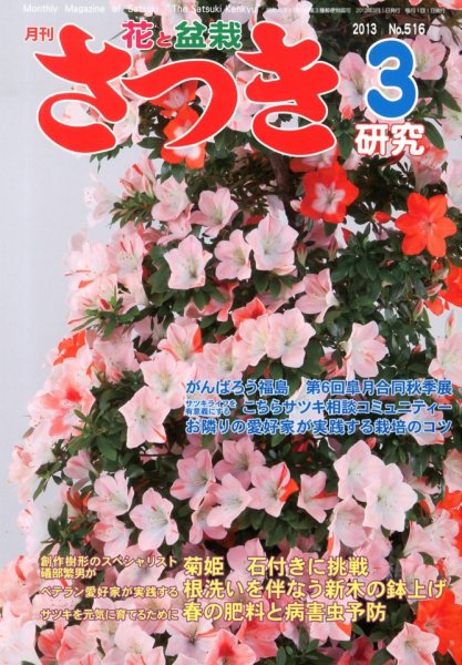 さつき研究 3月号 (発売日2013年02月05日) 表紙