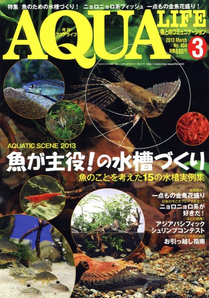 アクアライフ 3月号 (発売日2013年02月09日) 表紙