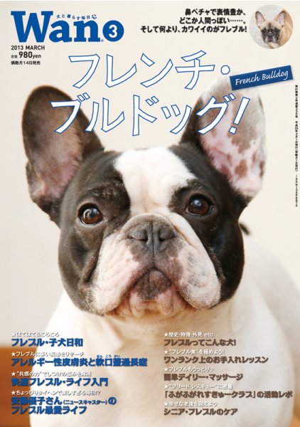 wan（わん） 2013年3月号 (発売日2013年02月14日) 表紙