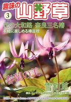 趣味の山野草 3月号 (発売日2013年02月12日) 表紙