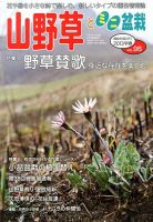 山野草とミニ盆栽 3月号 (発売日2013年02月12日) 表紙