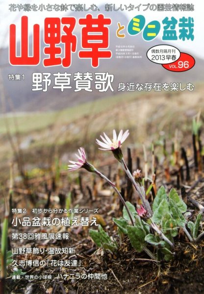 山野草とミニ盆栽 3月号 (発売日2013年02月12日) 表紙