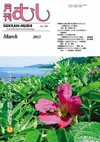 月刊むし 505 表紙