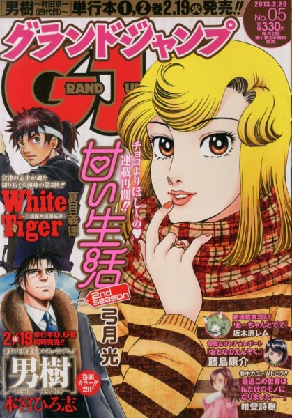グランドジャンプ 2/20号 (発売日2013年02月06日) 表紙