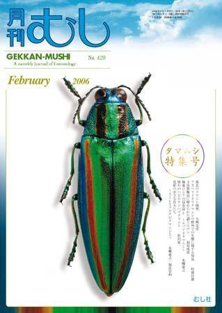 月刊むし 420 (発売日2006年01月20日) 表紙