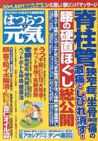 はつらつ元気 4月号 (発売日2013年03月02日) 表紙