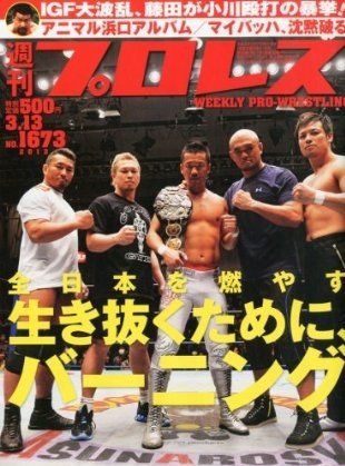 週刊プロレス 3月13日号 (発売日2013年02月27日) 表紙