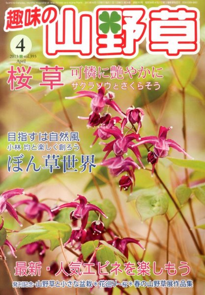 趣味の山野草 4月号 (発売日2013年03月12日) 表紙