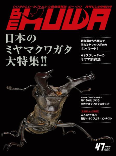 BE-KUWA（ビークワ） 47 (発売日2013年04月16日) 表紙