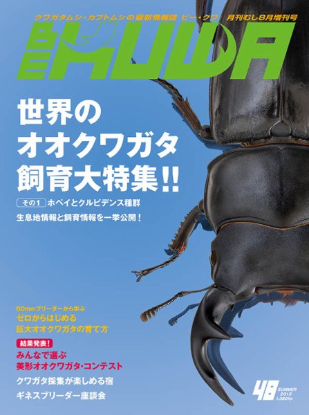 BE-KUWA（ビークワ） 48 (発売日2013年07月09日) 表紙