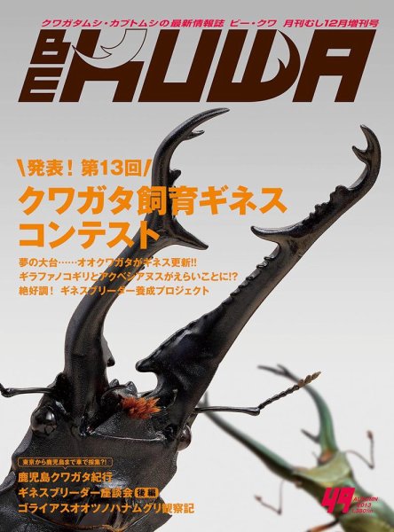 BE-KUWA（ビークワ） 49 (発売日2013年10月15日) 表紙