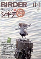 BIRDER（バーダー） 2013年4月号 表紙