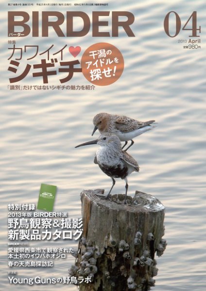 BIRDER（バーダー） 2013年4月号 (発売日2013年03月16日) 表紙