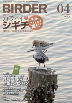 BIRDER（バーダー） 2013年4月号 (発売日2013年03月16日) 表紙