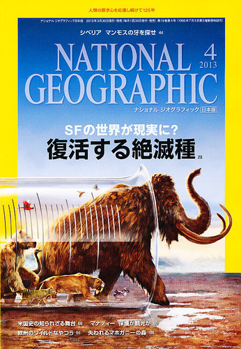 新しい ナショナルジオグラフィック日本版1995年 4月号～2002年 11月号