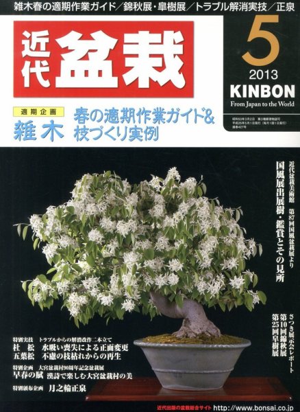月刊 近代盆栽 5月号 (発売日2013年04月04日) 表紙