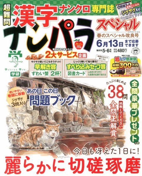 ナンパラSpecial 5月号 (発売日2013年04月13日) 表紙