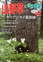 山野草とミニ盆栽 5月号 (発売日2013年04月12日) 表紙