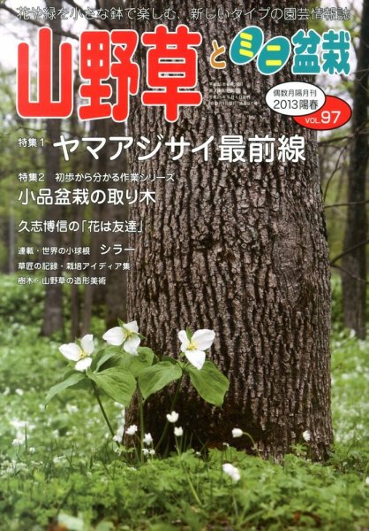 山野草とミニ盆栽 5月号 (発売日2013年04月12日) 表紙