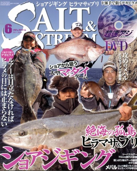 SALT＆STREAM（ソルト＆ストリーム） 6月号 (発売日2013年04月20日) 表紙