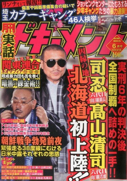 実話ドキュメント 6月号 (発売日2013年04月30日) 表紙