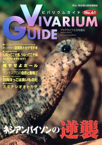 ビバリウムガイド 61号 (発売日2013年04月26日) 表紙