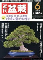 月刊 近代盆栽 6月号 表紙