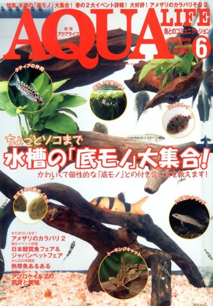 アクアライフ 6月号 (発売日2013年05月11日) 表紙
