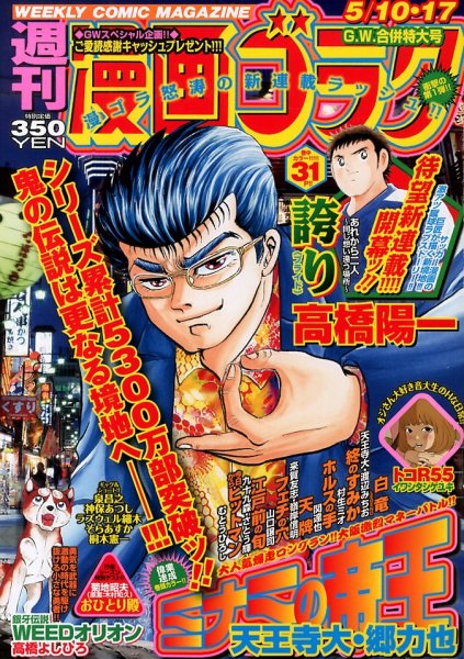 週刊漫画ゴラク 5/17号 (発売日2013年04月26日) 表紙