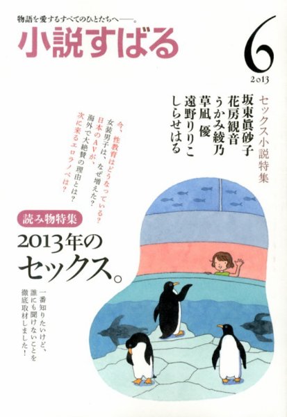 小説すばる 6月号 (発売日2013年05月17日) 表紙