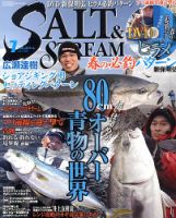 ★SALT & STREAM (ソルトアンドストリーム) 2013年 7月号 SALT＆STREAM（ソルト＆ストリーム）のバックナンバー (2ページ