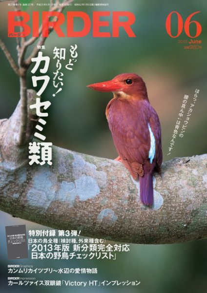 BIRDER（バーダー） 2013年6月号 (発売日2013年05月16日) 表紙