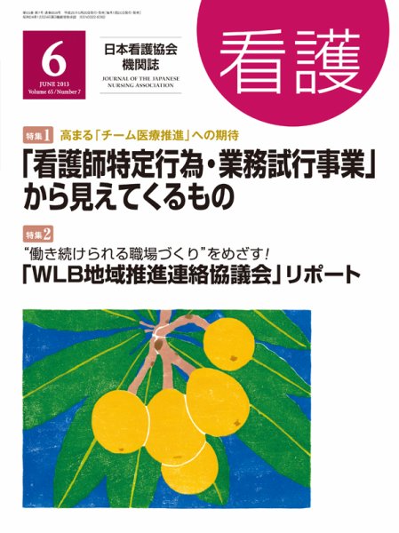 看護 6月号 (発売日2013年05月20日) 表紙