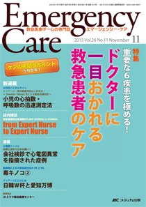 Emer-Log（エマログ） 11月号 (発売日2013年10月11日) 表紙