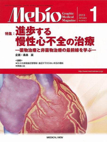 Mebio 2013年1月号 (発売日2012年12月10日) 表紙