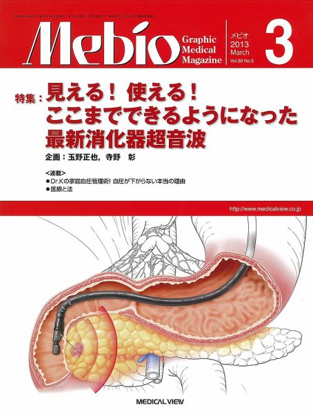 Mebio 2013年3月号 (発売日2013年02月12日) 表紙