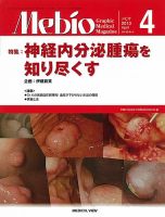 Mebio 2013年4月号 (発売日2013年03月11日) 表紙