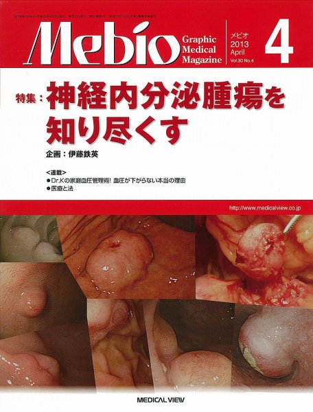 Mebio 2013年4月号 (発売日2013年03月11日) 表紙