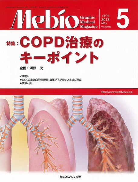 Mebio 2013年5月号 (発売日2013年04月10日) 表紙