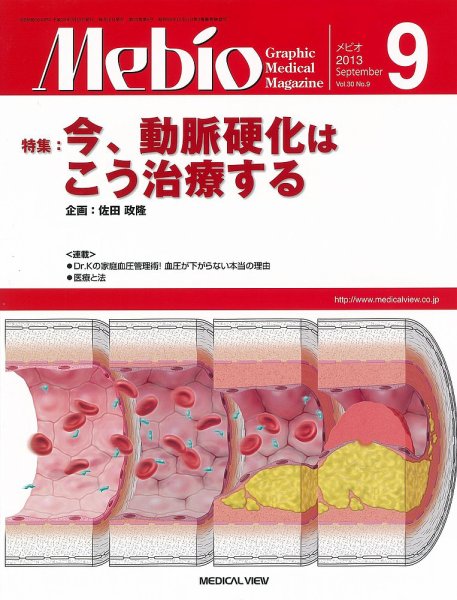 Mebio 2013年9月号 (発売日2013年08月10日) 表紙