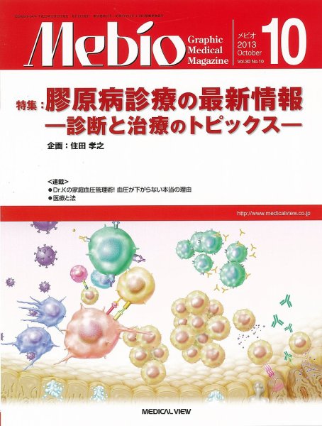 Mebio 2013年10月号 (発売日2013年09月11日) 表紙