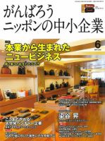 月刊次世代経営者 2013年6月号 表紙