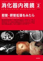消化器内視鏡 13年2月増大号 表紙