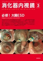 消化器内視鏡 13年3月号 表紙