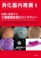 消化器内視鏡 13年8月増大号 表紙